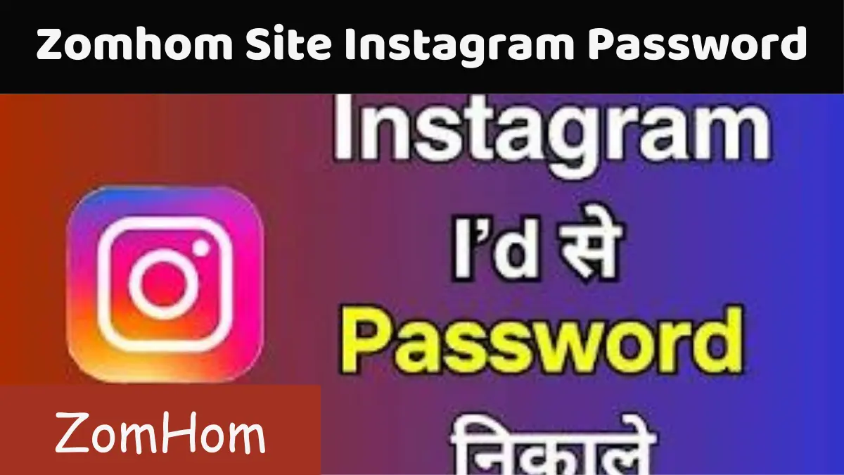 Zomhom Site Instagram Password